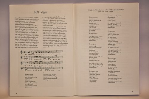 Höl i vägga