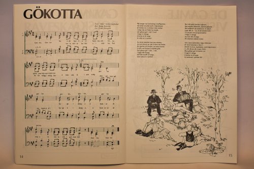 E visa vill jag sjunga